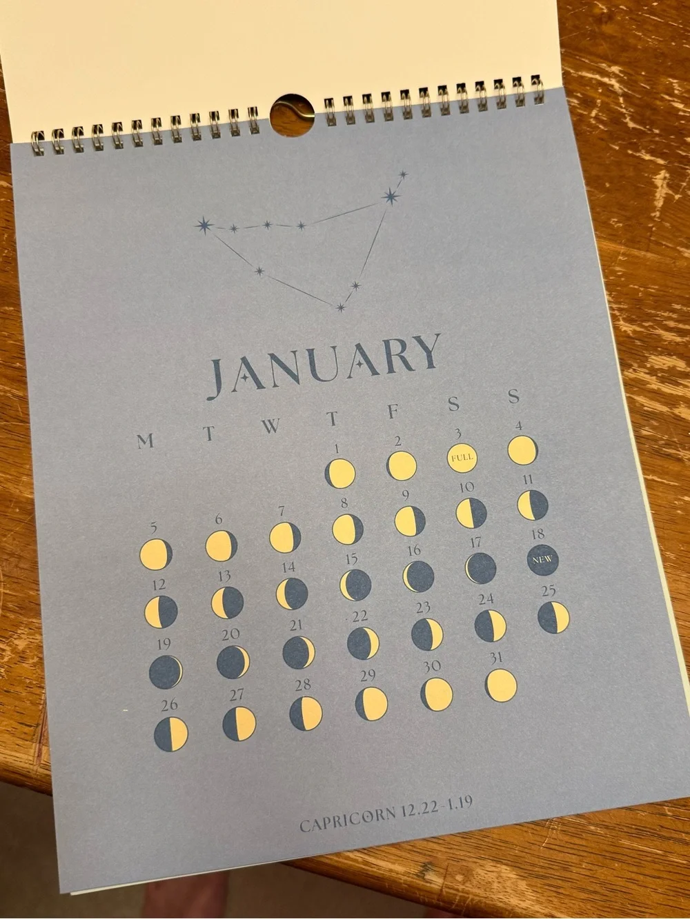 Spritz 2026 Moon Phases & Zodiacs Wall Calendar - Black and Gold